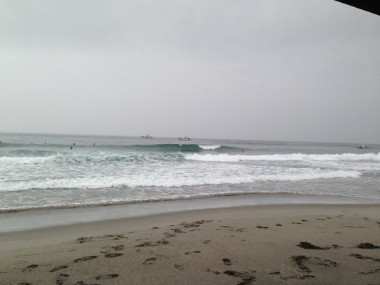 2019年　WCSCUPエントリー開始です！