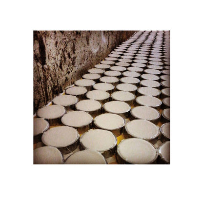 FU WAX （フーワックス）
